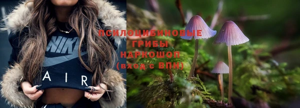 ECSTASY Нефтекумск