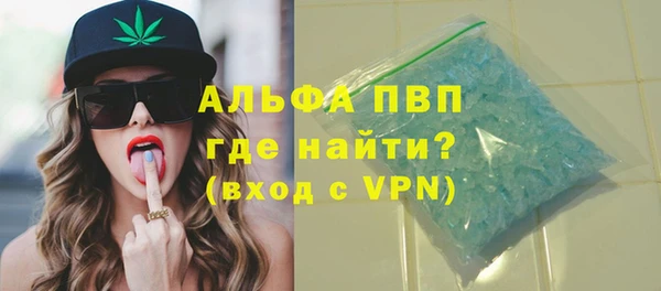 прущие грибы Верхний Тагил
