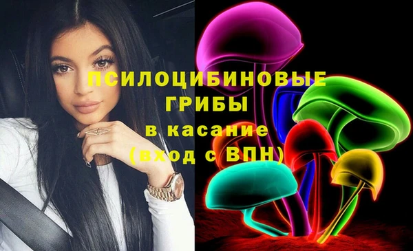 эйфоретик Новокубанск