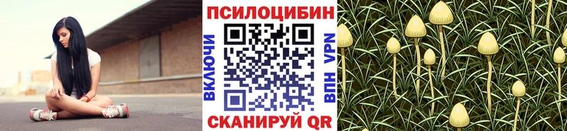 Галлюциногенные грибы MAGIC MUSHROOMS  Калтан 